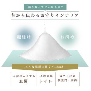 選べる 交換不要 盛り塩 セット 1年 お祝い...の詳細画像3