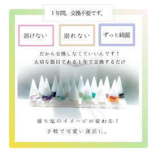 選べる 交換不要 盛り塩 セット 1年 お祝い...の詳細画像4