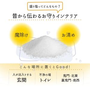送料無料! 1年間交換がいらない風水オルゴナイ...の詳細画像1