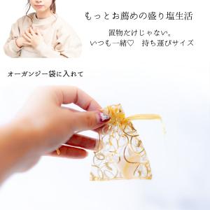 送料無料! 1年間交換がいらない風水オルゴナイ...の詳細画像3
