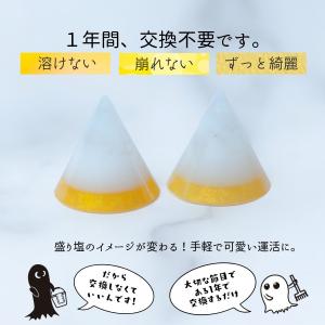 送料無料! 1年間交換がいらない風水オルゴナイ...の詳細画像4