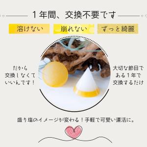 1年間交換がいらない風水オルゴナイト の盛り塩...の詳細画像1