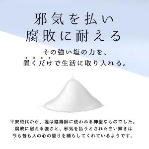 1年間交換がいらない風水オルゴナイト の盛り塩...の詳細画像2