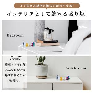 【ミニしおクマさん6匹&ダイヤモンド白】風水 ...の詳細画像3