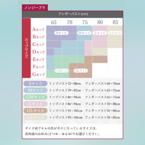 ノンワイヤーブラ Nongy ノンジー上下 3...の詳細画像5