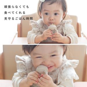 ベビー フルーツフィーダー 果物 おしゃぶり ...の詳細画像1