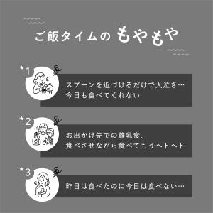 ベビー フルーツフィーダー 果物 おしゃぶり ...の詳細画像3