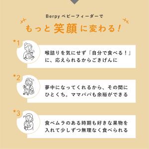 ベビー フルーツフィーダー 果物 おしゃぶり ...の詳細画像4