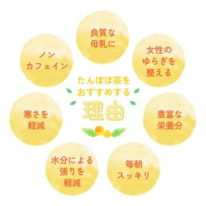 たんぽぽ茶 国内焙煎 2g×30包 ノンカフェ...の詳細画像2