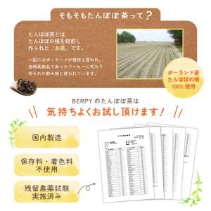 たんぽぽ茶 国内焙煎 2g×30包 ノンカフェ...の詳細画像3