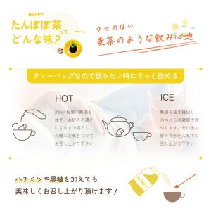 たんぽぽ茶 国内焙煎 2g×30包 ノンカフェ...の詳細画像5