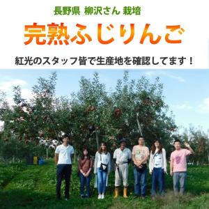 【予約・11月下旬頃から順次出荷開始予定】長野...の詳細画像3