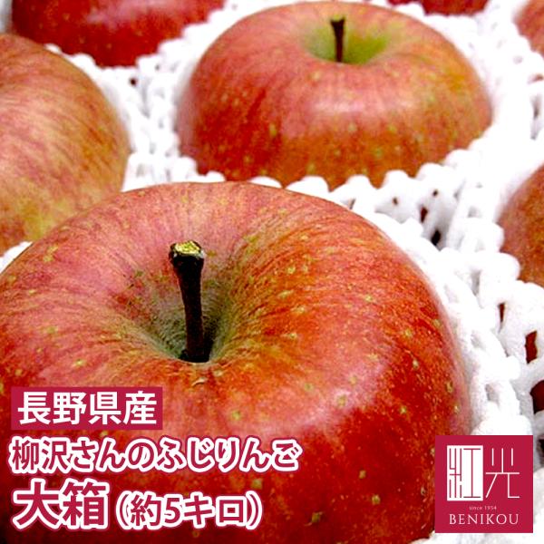 【予約・11月下旬頃から順次出荷開始予定】長野産 ふじ りんご 大箱 (約5kg 約10-20個) ...