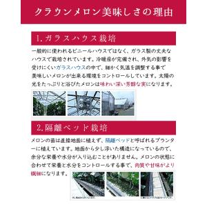 【あすつく対応(定休日除く)・送料無料】静岡産...の詳細画像2
