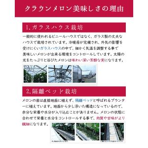 【あすつく対応(定休日除く)・送料無料】静岡産...の詳細画像2