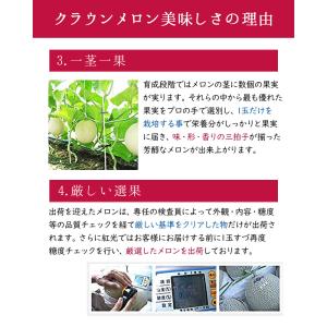 【あすつく対応(定休日除く)・送料無料】静岡産...の詳細画像3