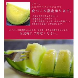 【あすつく対応(定休日除く)・送料無料】静岡産...の詳細画像5