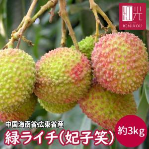 【予約・6月中旬頃〜下旬頃出荷開始予定】緑ライチ 妃子笑 約3kg 生ライチ グリーンライチ 果物 フルーツ