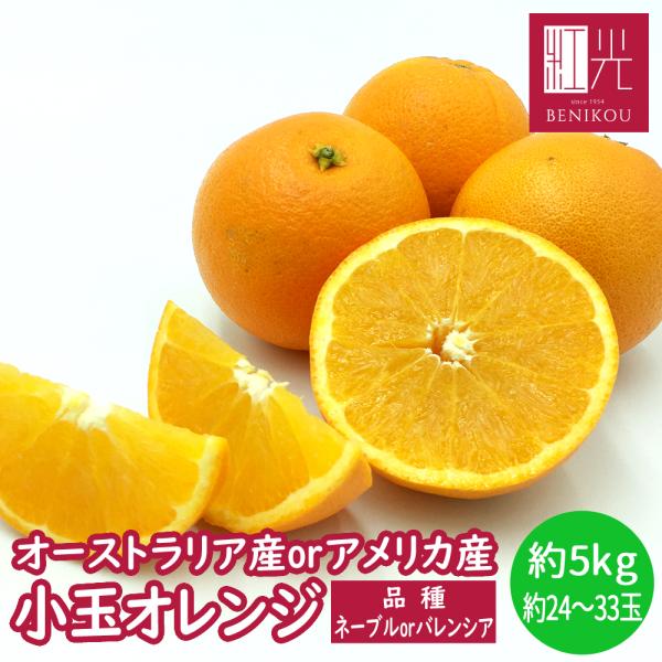 オレンジ 約5kg（約24〜33玉）「北海道・沖縄は+1100円」 アメリカ オーストラリア ネーブ...