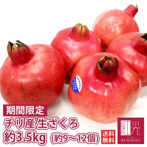 アメリカ産 大玉 ザクロ（ざくろ・柘榴） 11玉〜15玉入り : 生鮮卸売