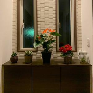 (ピンク) 愛んすりうむ6号 高さ60cm ア...の詳細画像4