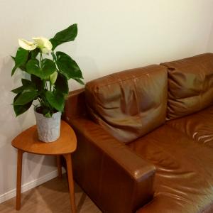 (ピンク) 愛んすりうむ6号 高さ60cm ア...の詳細画像5