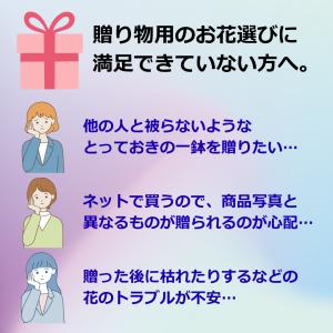 [ラッピング・立札込]×[2株仕立て] 熟成紅...の詳細画像1