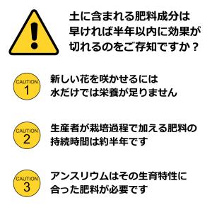 アンスリウム専用肥料 半年分効果が持続 生産者...の詳細画像1