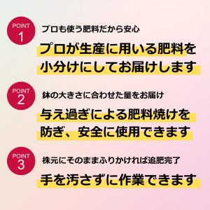 アンスリウム専用肥料 半年分効果が持続 生産者...の詳細画像2