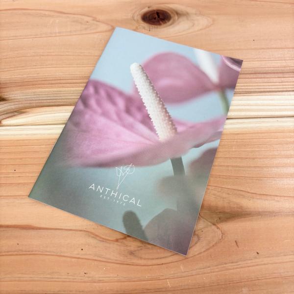 アンスリウムが上手く育てられる お手入れハンドブック アンスリューム A5サイズ（A42つ折）