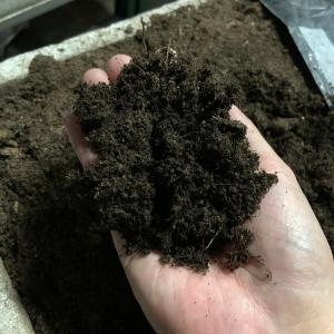 (6〜10号用)アンスリウム専用土 肥料入り ...の詳細画像3
