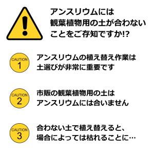 (6〜10号用)アンスリウム専用土 肥料入り ...の詳細画像1