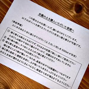 (6〜10号用)アンスリウム専用土 肥料入り ...の詳細画像4