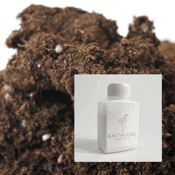 （まとめ買い）アンスリウム専用土 + お手入れワックス原液 10L 生産者も使う 観葉植物にも使える...