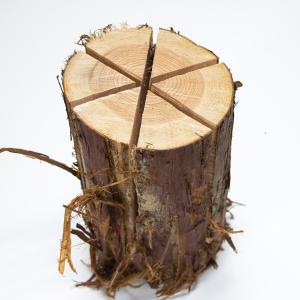 川島材木店 丸太の輪切り Lサイズ3枚セット 直径約24x厚さ3cm 丸い木