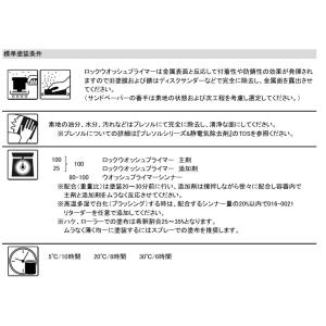 ウォッシュプライマー 短ばく 1kgセット 防...の詳細画像3