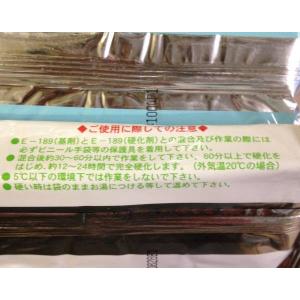 プラシール E-189 500g(250g+2...の詳細画像1