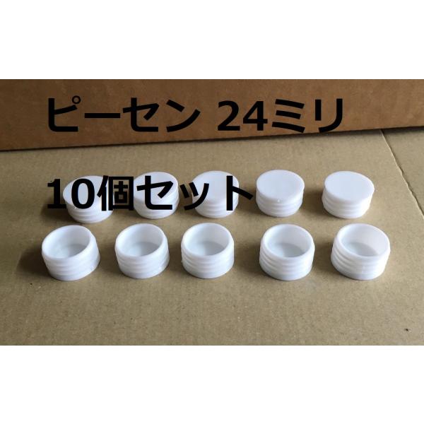 ピーセン P栓 24mmΦ 白 10個 クランウッド 防舷材 ボルト穴 栓 フタ 商品情報ご必読下さ...