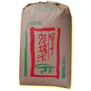 5年産 茨城県産 ミルキークイーン１等 玄米 10kg