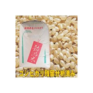 令和4年産 新潟県産 残留農薬析済み コシヒカリ 玄米 25kg 精米無料