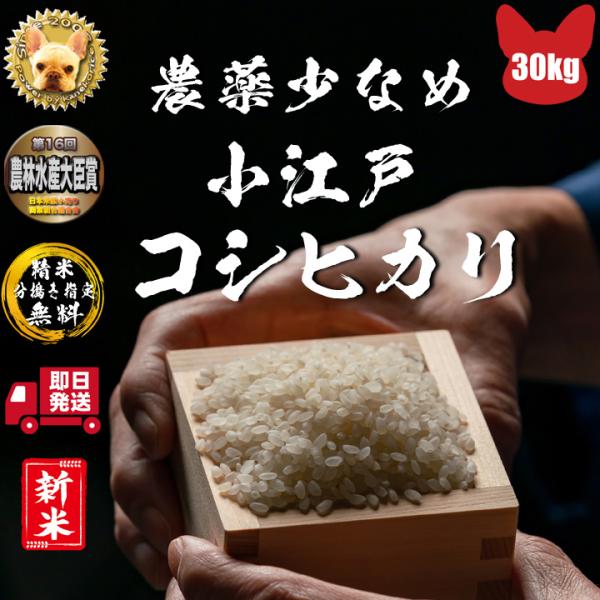 令和5年も穫れたて 小江戸 コシヒカリ 30kg ピカピカ 産地直送 精米、分搗き指定無料  玄米