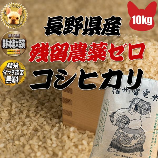 令和６年産 長野県東御産 コシヒカリ 1等 玄米 10kg 残留農薬ゼロ 精米＆分搗き指定無料  W...