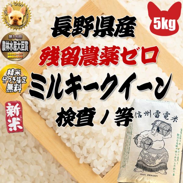 令和5年産 長野県産 ミルキークイーン玄米5kg 残留農薬ゼロ 精米＆分搗き指定無料    新米