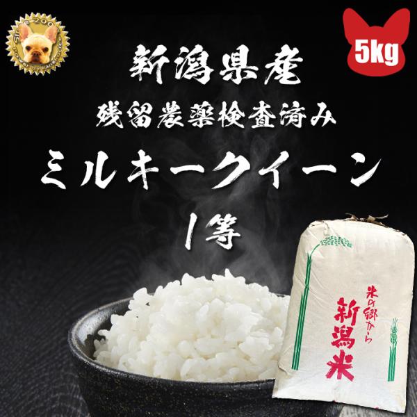 令和5年産  新潟県産 残留農薬分析済み 特裁減減 ミルキークイーン  玄米 5kg