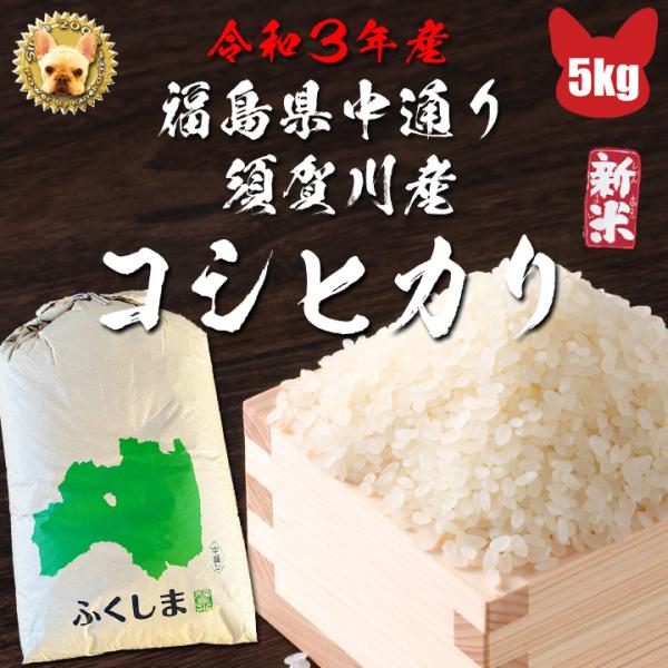 令和4年 福島中通り 須賀川産 玄米 コシヒカリ５ｋg 検査1等