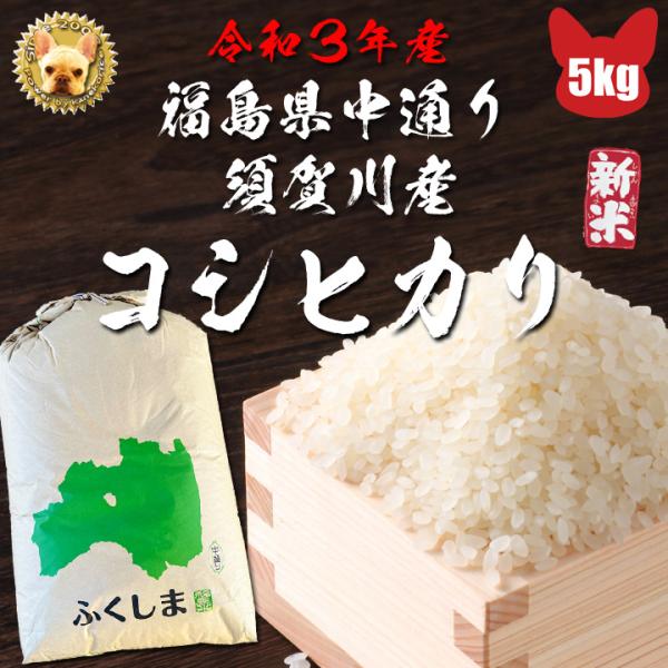 令和6年 福島中通り須賀川産 玄米 コシヒカリ ５ｋg  検査1等  精米無料