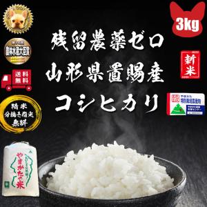 令和7年産　彩のかがやき　10キロ 令和7年産 彩のかがやき 精米10キロ｜Yahoo!フリマ（旧PayPayフリマ）
