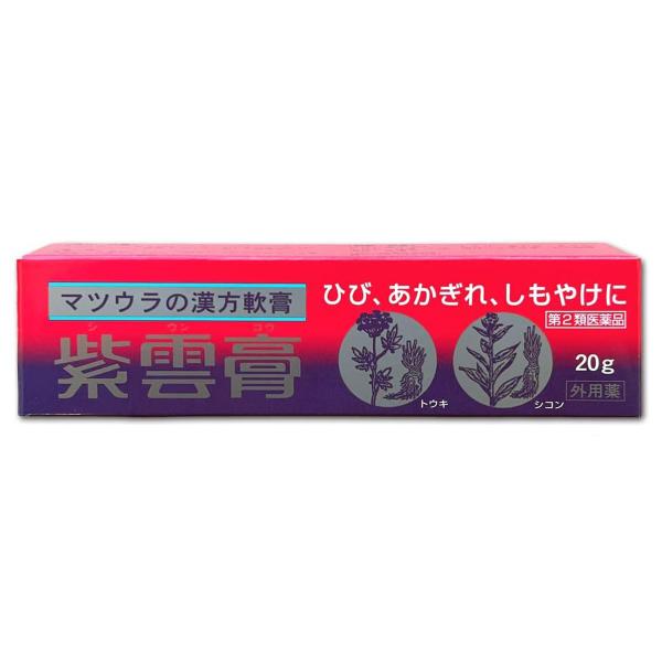 【第2類医薬品】紫雲膏チューブ 20g メール便送料無料