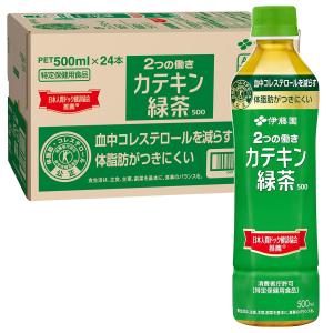 伊藤園 お〜いお茶 カテキン緑茶 PET 500...の商品画像