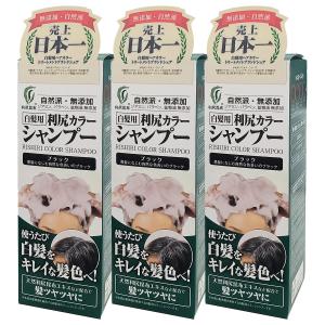 利尻カラーシャンプー ダークブラウン Amazon | Sastty[白髪用] 利尻カラーシャンプー お徳用 500ml